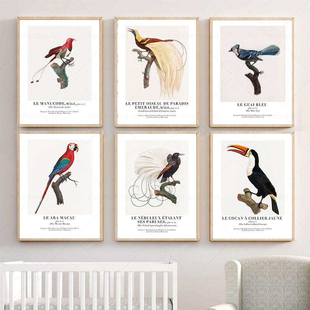 Vintage Paradise Bird Wall Art – Furniture Paradise & Hardware Ghaziabad Reviews Bewertung und Preis