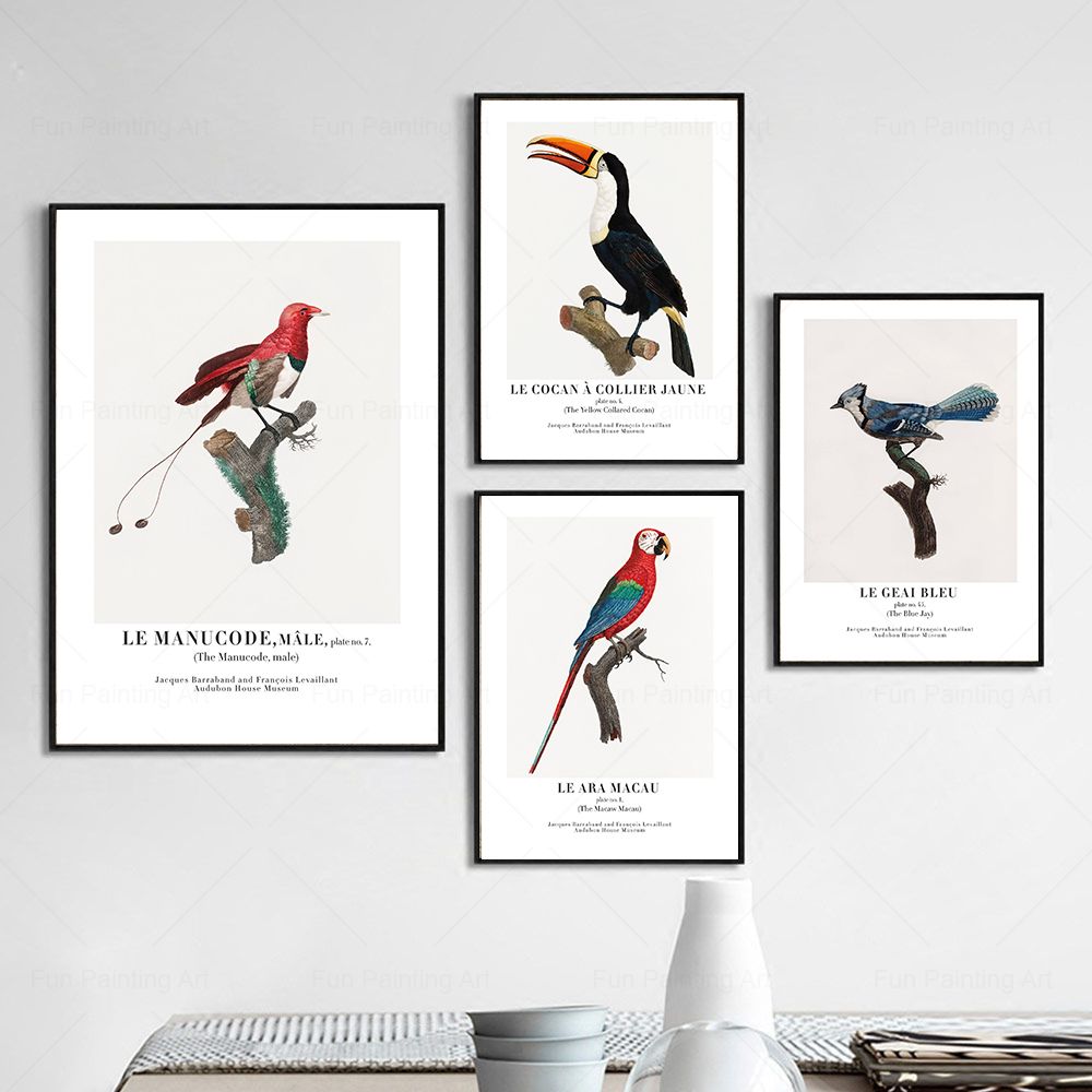 Vintage Paradise Bird Wall Art – Furniture Paradise & Hardware Ghaziabad Reviews Bewertung und Preis