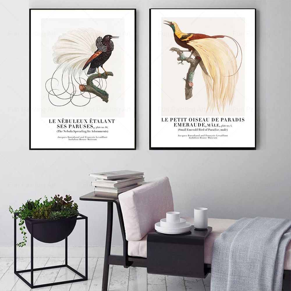 Vintage Paradise Bird Wall Art – Furniture Paradise & Hardware Ghaziabad Reviews Bewertung und Preis