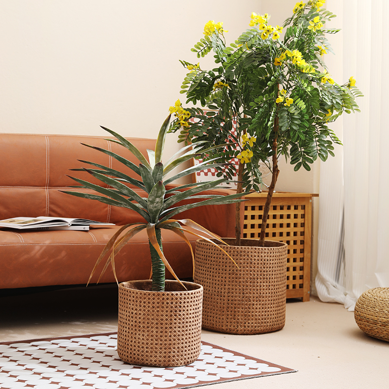 Furniture for small-sized apar – Furniture Paradise & Hardware Ghaziabad Reviews Bewertung und Preis