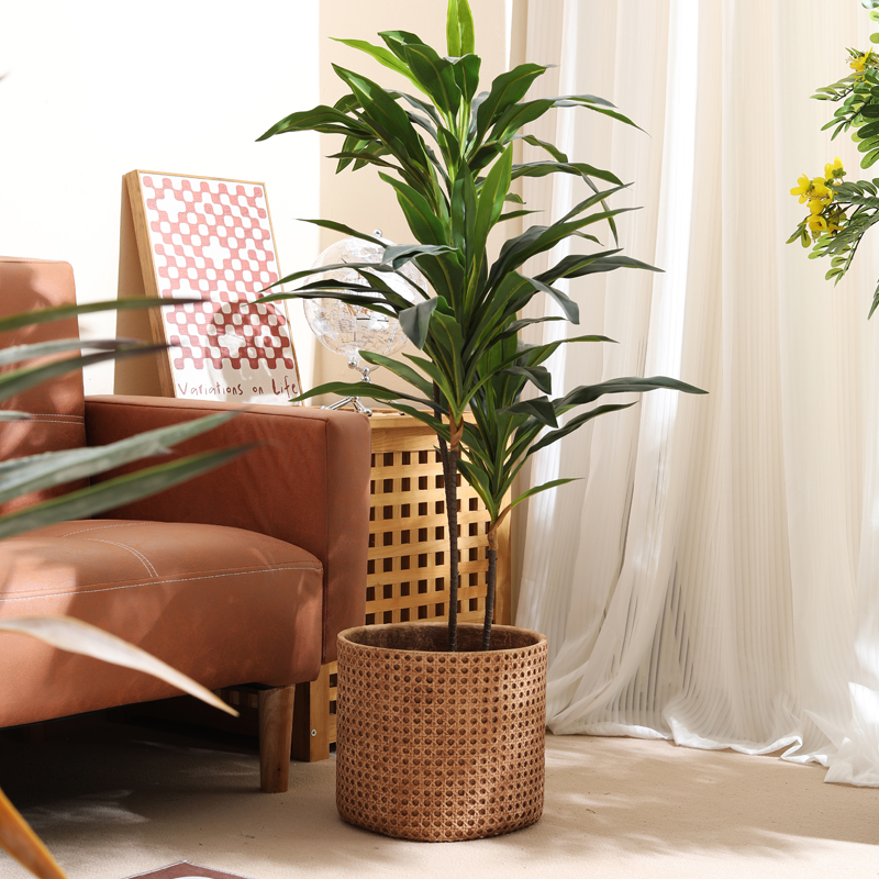 Furniture for small-sized apar – Furniture Paradise & Hardware Ghaziabad Reviews Bewertung und Preis